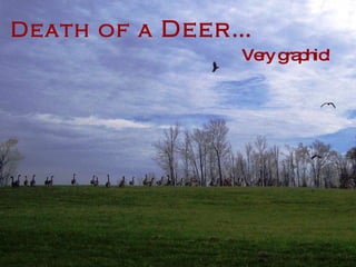 Death of a  Deer… Very graphic! 