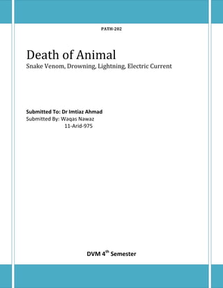PATH-202
Death of Animal
Snake Venom, Drowning, Lightning, Electric Current
Submitted To: Dr Imtiaz Ahmad
Submitted By: Waqas Nawaz
11-Arid-975
DVM 4th
Semester
 