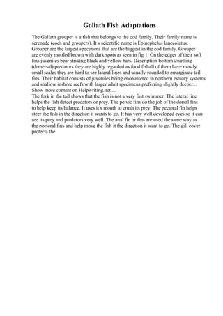 Goliath Fish Adaptations
The Goliath grouper is a fish that belongs to the cod family. Their family name is
serenade (cods and groupers). It s scientific name is Epinephelus lanceolatus.
Grouper are the largest specimens that are the biggest in the cod family. Grouper
are evenly mottled brown with dark spots as seen in fig 1. On the edges of their soft
fins juveniles bear striking black and yellow bars. Description bottom dwelling
(demersal) predators they are highly regarded as food fishall of them have mostly
small scales they are hard to see lateral lines and usually rounded to emarginate tail
fins. Their habitat consists of juveniles being encountered in northern estuary systems
and shallow inshore reefs with larger adult specimens preferring slightly deeper...
Show more content on Helpwriting.net ...
The fork in the tail shows that the fish is not a very fast swimmer. The lateral line
helps the fish detect predators or prey. The pelvic fins do the job of the dorsal fins
to help keep its balance. It uses it s mouth to crush its prey. The pectoral fin helps
steer the fish in the direction it wants to go. It has very well developed eyes so it can
see its prey and predators very well. The anal fin or fins are used the same way as
the pectoral fins and help move the fish it the direction it want to go. The gill cover
protects the
 