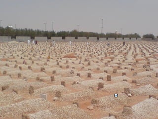 4.avif
 