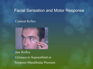 Facial Sensation and Motor Response

 Corneal Reflex




 Jaw Reflex
 Grimace to Supraorbital or
 Temporo-Mandibular Pressure
 