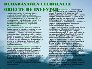 DEBARASAREA CELORLALTE
    OBIECTE DE INVENTAR tacâmurilortacâmurile regulă, o
                   • Debarasarea
                     dată cu farfuriile . Când
                                               se face de
                                                          au fost
•       Debarasarea mesei de farfuria pentru                aşezate de o parte şi de alta a marginii
      produsele de panificaţie, de salatiere,               farfuriei, chelnerul va trece mai întai pe partea
      farfurioare pentru sare si de serviciul pentru        stângă a consumatorului fără să ridice de pe
      unt şi gem se efectuează pe partea stângă a           masă tacâmul din partea stângă, îl va aşeza în
      consumatorilor, folosindu-se tava de serviciu         farfurie apoi va trece prin spatele
      prinsă între degetele mâinii stângi sau pe            consumatorului, în partea dreaptă a acestuia şi
      antebraţul şi palma stângă acoperite cu               va aşeza tacâmul din partea dreaptă pe
      ancărul desfăsurat.                                   farfurie ridicându-le împreună.
•     Debarasarea celorlalte obiecte de servire se             Atunci cand tacâmurile sunt lăsate pe faţa de
      face pe masură ce acestea nu mai sunt necesare        masă în partea stângă a farfuriei, acestea se
      consumarii preparatelor sau băuturilor                vor aşeza pe farfurie pe partea stângă a
      comandate. Solnitele, coşuletele pentru pâine,        consumatorului şi apoi se ridică toate odată pe
      suporturile pentru serveţele, se ridică cu mâna       partea dreaptă. Farfuria ridicată de pe masă
      dreaptă şi se aşează pe tava de serviciu, care se     cu mâna dreaptă se trece pe mâna stângă,
      gaseşte în mâna stângă, pentru a fi transportate      potrivit regulilor de debarasare a farfuriilor.
      la consolă sau oficiul de menaj. Se va urmări ca        Apoi, cu mâna dreaptă se ridică cuţitul şi se
      acestea să se ridice de la o distanta cât mai         aşează pe farfuria fixată între degetul mare şi
      apropiată, evitându-se întinderea mâinii prin         degetul arătător şi mijlociu, cu lama spre
      faţa consumatorilor.                                  centrul farfuriei şi cu mânerul spre margine.
•     Debarasarea resturilor de mâncare se face o           Furculiţa cu dinţii în sus sau lingura se aşează
      dată cu debarasarea farfuriilor, folosindu-se         perpendicular peste lama cuţitului. Mânerul
      clestele, ulterior numai firmiturile produselor       unei furculiţe se prinde, între degetul mare şi
      de panificaţie se strâng cu ajutorul periei şi        marginea farfuriei, asigurându-se astfel o mai
      făraşului special. În lipsa acestora se poate         mare stabilitate a tacâmurilor în timpul
      folosi ancărul şi o farfurie curată. Se va evita ca   transportului. Lamele cuţitelor se introduc sub
      firmiturile să cadă pe îmbrăcamintea clienţilor,      mânerele furculiţelor.
      pe pardoseală sau pe scaunele rămase libere.             Linguriţa folosită la consumarea ceaiului
       În cazul în care, faţa de masă a fost pătată         sau a altei bauturi nealcoolice calde aşezată pe
      partial, se poate folosi un napron aşezat peste       marginea farfuria-suport cu mânerul pe blatul
      pata respectivă.                                      mesei se ridica si se aşează pe farfuria-suport
                                                            si se ridica impreuna cu aceasta.
 