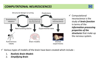  Various types of models of the brain have been created which include :
1. Realistic Brain Models
2. Simplifying Brain
 Computational
neuroscience is the
study of brain function
in terms of the
information processing
properties of the
structures that make up
the nervous system.
COMPUTATIONAL NEUROSCIENCES
 