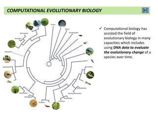  Computational biology has
assisted the field of
evolutionary biology in many
capacities which includes
using DNA data to evaluate
the evolutionary change of a
species over time.
COMPUTATIONAL EVOLUTIONARY BIOLOGY
 