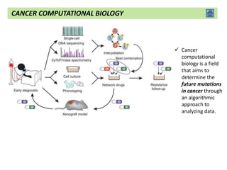  Cancer
computational
biology is a field
that aims to
determine the
future mutations
in cancer through
an algorithmic
approach to
analyzing data.
CANCER COMPUTATIONAL BIOLOGY
 