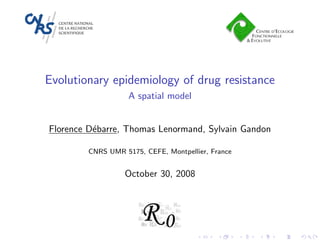 Evolutionary epidemiology of drug resistance
A spatial model
Florence D´ebarre, Thomas Lenormand, Sylvain Gandon
CNRS UMR 5175, CEFE, Montpellier, France
October 30, 2008
 