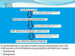 SOIL

It can be defined as ‘any part of earth crust on which plants root.’ The
whole process of soil formation can generally be divided into 2 stages.:
 Weathering
 Pedogenesis

 