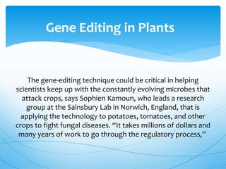 The gene-editing technique could be critical in helping
scientists keep up with the constantly evolving microbes that
attack crops, says Sophien Kamoun, who leads a research
group at the Sainsbury Lab in Norwich, England, that is
applying the technology to potatoes, tomatoes, and other
crops to fight fungal diseases. “It takes millions of dollars and
many years of work to go through the regulatory process,”
Gene Editing in Plants
 