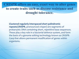CRISPR offers an easy, exact way to alter genes
to create traits such as disease resistance and
drought tolerance.
 Clustered regularly interspaced short palindromic
repeats(CRISPR, pronounced crisper) are segments of
prokaryotic DNA containing short, repetitive base sequences.
These play a key role in a bacterial defence system, and form
the basis of a genome editing technology known as CRISPR-
Cas9 that allows permanent modification of genes within
organisms.
 