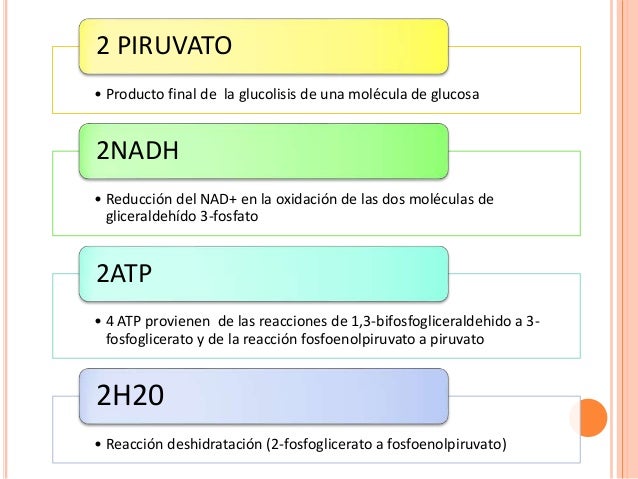 Glucólisis
