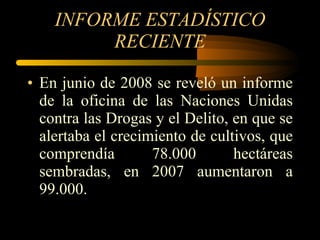INFORME ESTADÍSTICO RECIENTE En junio de 2008 se reveló un informe de la oficina de las Naciones Unidas contra las Drogas y el Delito, en que se alertaba el crecimiento de cultivos, que comprendía 78.000 hectáreas sembradas, en 2007 aumentaron a 99.000. 