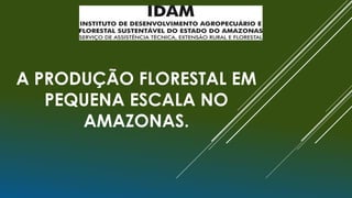 A PRODUÇÃO FLORESTAL EM
PEQUENA ESCALA NO
AMAZONAS.
 