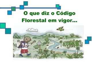 O que diz o Código Florestal em vigor... 