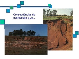 Conseqüências do desrespeito à Lei... 