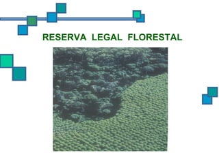 RESERVA  LEGAL  FLORESTAL 
