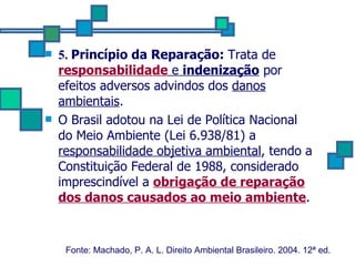 5.  Princípio da Reparação:  Trata de  responsabilidade  e  indenização  por efeitos adversos advindos dos  danos ambientais .  O Brasil adotou na Lei de Política Nacional do Meio Ambiente (Lei 6.938/81) a  responsabilidade objetiva ambiental , tendo a Constituição Federal de 1988, considerado imprescindível a  obrigação de reparação dos danos causados ao meio ambiente . Fonte: Machado, P. A. L. Direito Ambiental Brasileiro. 2004. 12ª ed.   