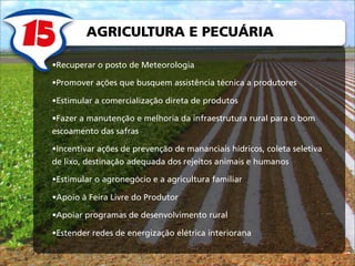 AGRICULTURA E PECUÁRIA

•Recuperar o posto de Meteorologia

•Promover ações que busquem assistência técnica a produtores

...