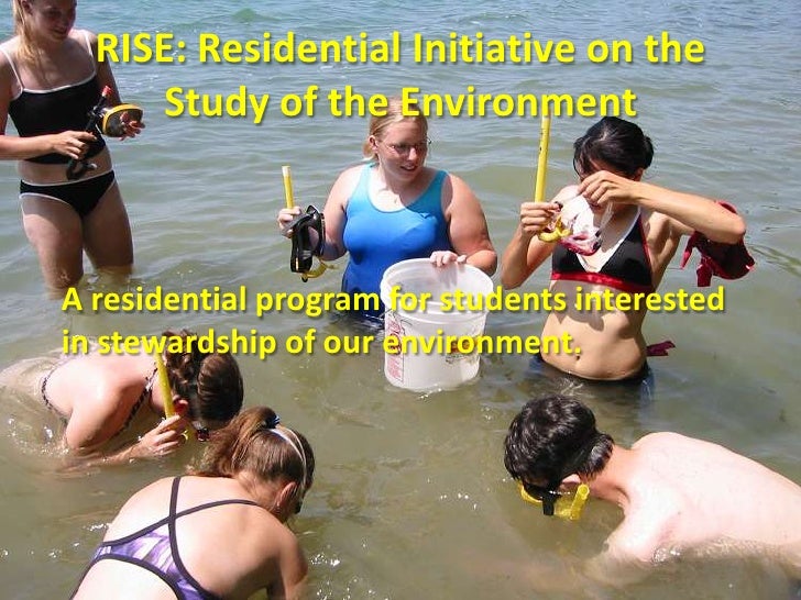 Undergraduate Support Program Natural Science Msu Undergraduate Support Program Natural Science Msu