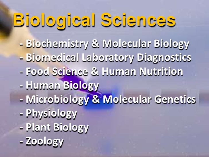 College Of Natural Science Msu Majors College Of Natural Science Msu Majors