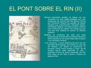 EL PONT SOBRE EL RIN (II)
Damunt d’aquestes parelles de bigues van ser
encastats uns pals (trabs immissa) que eren
assegurats als extrems per dos ganxos (fibula)
que mantenien distants les parelles de bigues
impedint que s’aproximaren. Aquestes bigues,
col·locades distants i en sentit contrari, creaven
una construcció tan sòlida i ben fixada que per
més que fora violenta la corrent, el sistema
resistiria.
Després es recolzava als pals una fusta
perpendicular al sentit del riu (materia derecta) i
sobre aquesta es van posar llargs pals (longurii)
i uns canyissos (crates).
A la muntanya i a poca distància del pont van ser
clavades altres bigues, com densa en cas que
els bàrbars, per abatre la construcció, hi
enviaren contra troncs d’arbre o naus: de tal
manera hauria estat esmorteït el colp i
preservat el pont de danys eventuals. En deu
dies l’obra va ser duta a terme i l’exèrcit va
passar el Rin.
 