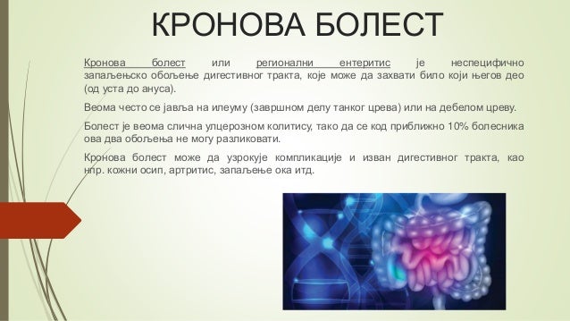 Дебело црево
