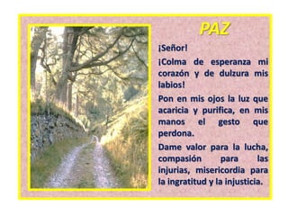 PAZ
¡Señor!
¡Colma de esperanza mi
corazón y de dulzura mis
labios!
Pon en mis ojos la luz que
acaricia y purifica, en mis
manos el gesto que
perdona.
Dame valor para la lucha,
compasión para las
injurias, misericordia para
la ingratitud y la injusticia.
 