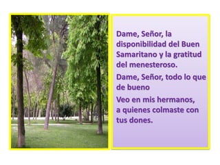Dame, Señor, la
disponibilidad del Buen
Samaritano y la gratitud
del menesteroso.
Dame, Señor, todo lo que
de bueno
Veo en mis hermanos,
a quienes colmaste con
tus dones.
 