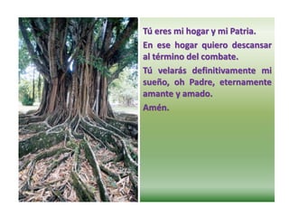Tú eres mi hogar y mi Patria.
En ese hogar quiero descansar
al término del combate.
Tú velarás definitivamente mi
sueño, oh Padre, eternamente
amante y amado.
Amén.
 