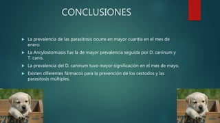 CONCLUSIONES
 La prevalencia de las parasitosis ocurre en mayor cuantía en el mes de
enero.
 La Ancylostomiasis fue la de mayor prevalencia seguida por D. caninum y
T. canis.
 La prevalencia del D. caninum tuvo mayor significación en el mes de mayo.
 Existen diferentes fármacos para la prevención de los cestodos y las
parasitosis múltiples.
 