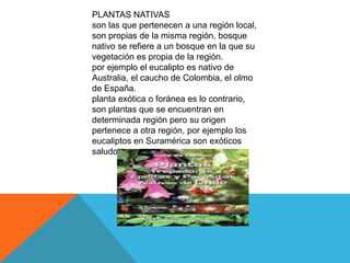 PLANTAS NATIVAS
son las que pertenecen a una región local,
son propias de la misma región, bosque
nativo se refiere a un bosque en la que su
vegetación es propia de la región.
por ejemplo el eucalipto es nativo de
Australia, el caucho de Colombia, el olmo
de España.
planta exótica o foránea es lo contrario,
son plantas que se encuentran en
determinada región pero su origen
pertenece a otra región, por ejemplo los
eucaliptos en Suramérica son exóticos
saludos
 