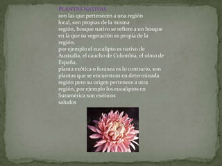 PLANTAS NATIVAS
son las que pertenecen a una región
local, son propias de la misma
región, bosque nativo se refiere a un bosque
en la que su vegetación es propia de la
región.
por ejemplo el eucalipto es nativo de
Australia, el caucho de Colombia, el olmo de
España.
planta exótica o foránea es lo contrario, son
plantas que se encuentran en determinada
región pero su origen pertenece a otra
región, por ejemplo los eucaliptos en
Suramérica son exóticos
saludos
 