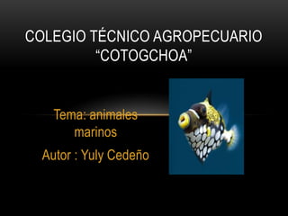 COLEGIO TÉCNICO AGROPECUARIO
“COTOGCHOA”

Tema: animales
marinos
Autor : Yuly Cedeño

 