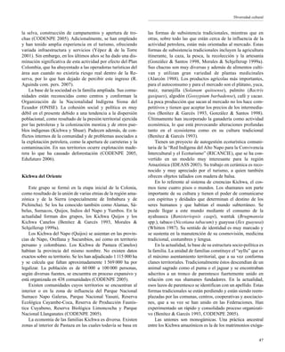 la selva, construcción de campamentos y apertura de tro-
chas (CODENPE 2005). Adicionalmente, se han empleado
y han tenido amplia experiencia en el turismo, ofreciendo
variada infraestructura y servicios (Yépez & de la Torre
2001). Sin embargo, en los últimos años se ha dado una dis-
minución significativa de esta actividad por efecto del Plan
Colombia, que ha ahuyentado a las operadoras turísticas del
área aun cuando no existiría riesgo real dentro de la Re-
serva, por lo que han dejado de percibir este ingreso (R.
Aguinda com. pers. 2007).
La base de la sociedad es la familia ampliada. Sus comu-
nidades están reconocidas como centros y conforman la
Organización de la Nacionalidad Indígena Siona del
Ecuador (ONISE). La cohesión social y política es muy
débil en el presente debido a una tendencia a la dispersión
poblacional, como resultado de la presión territorial ejercida
por las petroleras y la colonización mestiza y de otros pue-
blos indígenas (Kichwa y Shuar). Padecen además, de con-
flictos internos de la comunidad y de problemas asociados a
la explotación petrolera, como la apertura de carreteras y la
contaminación. En sus territorios ocurre explotación made-
rera lo que ha causado deforestación (CODENPE 2005,
Edufuturo 2006).
Kichwa del Oriente
Este grupo se formó en la etapa inicial de la Colonia,
como resultado de la unión de varias etnias de la región ama-
zónica y de la Sierra (especialmente de Imbabura y de
Pichincha). Se los ha conocido también como Alamas, Sá-
belas, Sumacos, Quijos, Indios del Napo y Yumbos. En la
actualidad forman dos grupos, los Kichwa Quijos y los
Kichwa Canelos (Benítez & Garcés 1993, Morales &
Schjellerup 1999a).
Los Kichwa del Napo (Quijos) se asientan en las provin-
cias de Napo, Orellana y Sucumbíos, así como en territorio
peruano y colombiano. Los Kichwa de Pastaza (Canelos)
habitan la provincia del mismo nombre. No existen datos
exactos sobre su territorio. Se les han adjudicado 1 115 000 ha
y se calcula que faltan aproximadamente 1 569 000 ha por
legalizar. La población es de 60 000 a 100 000 personas,
según diversas fuentes, se encuentra en proceso expansivo y
está organizada en 438 comunidades (CODENPE 2005).
Existen comunidades cuyos territorios se encuentran al
interior o en la zona de influencia del Parque Nacional
Sumaco Napo Galeras, Parque Nacional Yasuní, Reserva
Ecológica Cayambe-Coca, Reserva de Producción Faunís-
tica Cuyabeno, Reserva Biológica Limoncocha y Parque
Nacional Llanganates (CODENPE 2005).
La economía de las familias Kichwa es diversa. Existen
zonas al interior de Pastaza en las cuales todavía se basa en
las formas de subsistencia tradicionales, mientras que en
otras, sobre todo las que están cerca de la influencia de la
actividad petrolera, están más orientadas al mercado. Estas
formas de subsistencia tradicionales incluyen la agricultura
itinerante, la caza, la pesca, la recolección y la artesanía
(González & Santos 1998, Morales & Schjellerup 1999a).
Sus chacras son muy diversas y además de alimentos culti-
van y utilizan gran variedad de plantas medicinales
(Alarcón 1988). Los productos agrícolas más importantes,
para el autoconsumo y para el mercado son el plátano, yuca,
maíz, naranjilla (Solanum quitoense), palmito (Bactris
gasipaes), algodón (Gossypium barbadense), café y cacao.
La poca producción que sacan al mercado no los hace com-
petitivos y tienen que aceptar los precios de los intermedia-
rios (Benítez & Garcés 1993, González & Santos 1998).
Últimamente han incorporado la ganadería como actividad
económica, lo que está provocando alteraciones profundas
tanto en el ecosistema como en su cultura tradicional
(Benítez & Garcés 1993).
Tienen un proyecto de autogestión ecoturística comuni-
taria de la “Red Indígena del Alto Napo para la Convivencia
Intercultural y el Ecoturismo” (RICANCIE), que se ha con-
vertido en un modelo muy interesante para la región
Amazónica (IDEASS 2003). Su trabajo en cerámica es reco-
nocido y muy apreciado por el turismo, a quien también
ofrecen objetos tallados con madera de balsa.
En lo referente al sistema de creencias Kichwa, el cos-
mos tiene cuatro pisos o mundos. Los shamanes son parte
importante de su cultura y tienen el poder de comunicarse
con espíritus y deidades que determinan el destino de los
seres humanos y que habitan el mundo subterráneo. Se
puede llegar a este mundo mediante el consumo de la
ayahuasca (Banisteriopsis caapi), wantuk (Brugmansia
spp.), tabaco (Nicotiana tabacum) y guayusa (Ilex guayusa)
(Whitten 1987). Su sentido de identidad es muy marcado y
se sustenta en la manutención de su cosmovisión, medicina
tradicional, costumbres y lengua.
En la actualidad, la base de su estructura socio-política es
la familia. La unidad de familias constituye el “ayllu” que es
el máximo asentamiento territorial, que a su vez conforma
clanes territoriales. Tradicionalmente éstos descendían de un
animal sagrado como el puma o el jaguar y se encontraban
adscritos a un tronco de parentesco fuertemente unido en
relación con sus shamanes fundadores. En la actualidad,
esos lazos de parentesco se identifican con un apellido. Estas
formas tradicionales se están perdiendo y están siendo reem-
plazadas por las comunas, centros, cooperativas y asociacio-
nes, que a su vez se han unido en las Federaciones. Han
experimentado un rápido y consolidado proceso organizati-
vo (Benítez & Garcés 1993, CODENPE 2005).
Las uniones son monogámicas. Una práctica ancestral
entre los Kichwa amazónicos es la de los matrimonios exóga-
47
Diversidad cultural
 