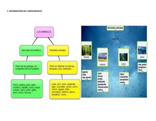 3. INFORMACIÓN DEL CONOCIMIENTO:

 