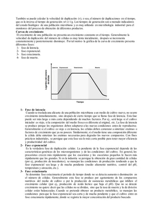 También se puede calcular la velocidad de duplicación (v), o sea,el número de duplicaciones en el tiempo,
que es la inversa al tiempo de generación: n/t ó 1/g. Los tiempos de generación son a menudo indicadores
del estado fisiológico de una población microbiana y es muy utilizado en microbiología industrial para el
monitoreo del proceso de obtención de diferentes productos.
Curvas de crecimiento
El crecimiento de una población no presenta un crecimiento constante en el tiempo. Generalmente la
velocidad de duplicación del número de células es muy lenta inicialmente, después se incrementa
constantemente y posteriormente disminuye. Por tal motivo la gráfica de la curva de crecimiento presenta
diferentes fases:
1- fase de latencia.
2- fase exponencial.
3- fase estacionaria.
4- fase de muerte.
1- Fase de latencia
Cuando se traslada una alícuota de una población microbiana a un medio de cultivo nuevo, no ocurre
crecimiento inmediatamente, sino después de cierto tiempo que se llama fase de latencia. Esta fase
puede ser más larga o más corta dependiendo de muchos factores. Por ej., será larga si el cultivo
iniciador es viejo, si la composición del medio fresco es diferente al original, etc. La fase de latencia
se produce porque los organismos deben adaptarse a las nuevas condiciones antes de reproducirse.
Generalmente si el cultivo es viejo o en latencia, las células deben comenzar a sintetizar enzimas o
factores de crecimiento que ya no poseen. Similarmente, si el medio tiene una composición diferente
la célula debe sintetizar las enzimas necesarias para degradar los nuevos compuestos. Con fines
prácticos industriales, se persigue que esta fase sea lo más corta posible para tener mayor eficiencia
y productividad del cultivo.
2- Fase exponencial
Es la verdadera fase de duplicación celular. La pendiente de la fase exponencial depende de las
características genéticas de los microorganismos y de las condiciones del cultivo. En general, los
procariotas crecen más rápidamente que los eucariotas y los eucariotas pequeños lo hacen más
rápidamente que los grandes. Si en la industria se persigue la obtención de gran cantidad de células
(por ej., producción de inoculantes), se manejan las condiciones de producción tendiendo a que la
fase exponencial sea larga y de mucha pendiente (medio altamente nutritivo, control del pH,
temperatura y aireación, etc.).
3- Fase estacionaria
Se denomina fase estacionaria al periodo de tiempo donde no se detecta aumento o disminución en
el número de células. Generalmente esta fase se produce por agotamiento de los compuestos
nutritivos del medio de cultivo o por la producción de sustancias metabólicas que inhiben el
crecimiento celular (por ej., producción de ácido láctico que baja el pH). Que no se detecte
crecimiento no quiere decir que las células no se dividan, sino que la tasa de muerte y la de división
celular están balanceadas. Cuando se pretende obtener un producto metabólico, se manejan las
condiciones para que la fase exponencial sea corta y de mucha pendiente y que el cultivo entre en
fase estacionaria rápidamente, donde se registra la mayor concentración del producto buscado.
 