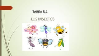 LOS INSECTOS
TAREA 5.1
 