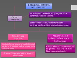 DISPOSICION GENERAL
DEL PERITONEO
Cavidad
Peritoneal
Es un espacio potencial, muy delgado entre
peritoneo parietal y visceral.
Esta dentro de la cavidad determinada
continua con la cavidad pélvica interiormente.
Gran Cavidad
Peritoneal
Una incisión que interese la pared abdominal
anterior y el peritoneo parietal penetra en la
cavidad peritoneal
Pequeña Cavidad
Peritoneal o Trascavidad de
los Eplipones
Complicada fosa que comunica con
la primera mediante el llamado
hiato o agujero epiplonico
Omentos, ligamentos, mesos, reasos o
excavaciones
 
