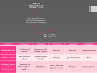 ESPACIO ANTERIOR POSTERIOR SUPERIOR DERECHA IZQUIERDA
Subfrénico Derecho
Pared abdominal
anterior
Lámina superior del
ligamento coronario
Diafragma Diafragma Ligamento falciforme
Subfrénico Izquierdo
Pared abdominal
anterior
Ligamento triangular
izquierdo
Diafragma Ligamento falciforme Bazo
Subhepático derecho
Ó
Bolsa patorrenal
Cara visceral del
lóbulo derecho del
hígado
Riñón derecho
Lámina inferior del
ligamento coronario
Diafragma Agujero epiploico
ESPACIOS
SUBFRÉNICOS Y
SUBHEPÁTICOS
Tiene importancia clínica
importante principalmente en
relación con las infecciones
RELACIONES
IMPORTANTES
 