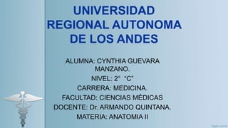 UNIVERSIDAD
REGIONAL AUTONOMA
DE LOS ANDES
ALUMNA: CYNTHIA GUEVARA
MANZANO.
NIVEL: 2° “C”
CARRERA: MEDICINA.
FACULTAD: CIENCIAS MÉDICAS
DOCENTE: Dr. ARMANDO QUINTANA.
MATERIA: ANATOMIA II
 