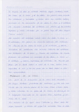 Deber anatomia músculos