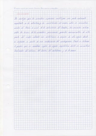 Deber anatomia músculos