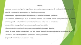 Profase
Inicia en el momento en el que las largas hebras de cromatina empiezan un proceso de condensación. Una vez que se ha
producido la condensación, la cromatina recibe el nombre de cromosomas.
Profase temprana, empiezan a desaparecer los nucleólos y la membrana nuclear está fragmentada.
Cada cromosoma está formado por un par de cromátidas hermanas, cada cromátida contiene una región muy angosta llamada
centrómero y unido a cada centrómero se encuentra el cinetocoro al cual se unen los microtúbulos.
Los microtúbulos se alargan hasta los cromosomas para formar el huso mitótico.
El huso mitótico tiene como función separar los cromosomas duplicados durante la anafase.
Tanto en las células animales como vegetales, cada polo, contiene una región, el centro organizador de microtúbulos (COMT).
Los centríolos están rodeados por fibrillas que forman el material pericentriolar.
Conjuntos de microtúbulos se conocen como ásteres.
 