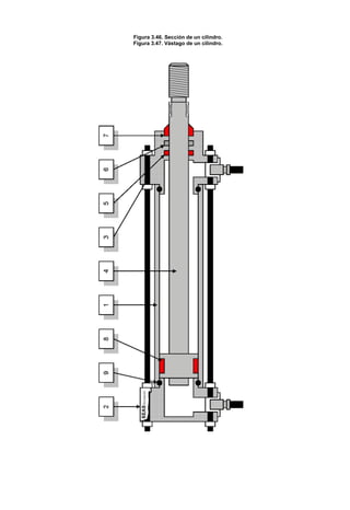 Figura 3.46. Sección de un cilindro.
Figura 3.47. Vástago de un cilindro.
 