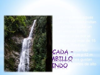 *CASCADA –
NAMBILLO
MINDO
Las cristalinas aguas
del río Nambillo invitan
al turista a recibir un
refrescante baño
deslizándose por el
tobogán de más de 15
metros. También
puede realizar los
saltos de 4 m y 12 m
para quienes gustan
de los deportes de alto
riesgo.
 