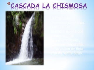 *CASCADA LA CHISMOSA
La Cascada
Chismosa junto a las
riveras de la
cascada, aporta con
senderos para
paseo en caballo ,
caminata, fotografía,
observación de flora
y fauna, entre otros.
 