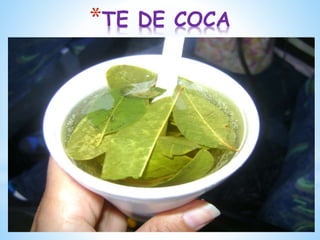 *TE DE COCA
 
