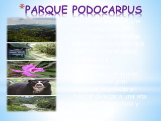 Se destaca por ser una
de las más ricas del
mundo, por que alberga
dentro de sus límites una
gran variedad de pisos
ecológicos y
ecosistemas.
En el Parque se puede
encontrar una gran
variedad de paisaje y
hábitat da lugar a una alta
biodiversidad de flora y
fauna.
*PARQUE PODOCARPUS
 