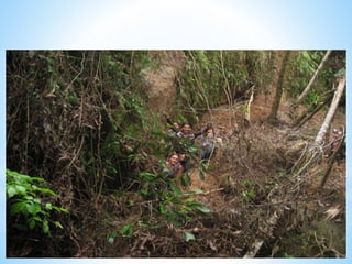 *RECORRIDO POR LA
SELVA
 