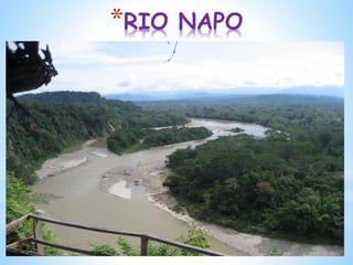 *RIO NAPO
 