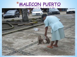 *MALECON PUERTO
MISAHUALLI
 